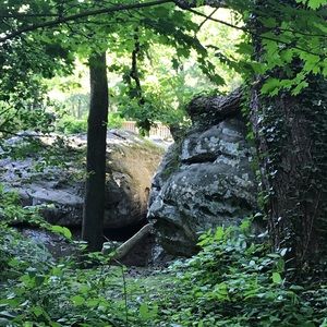 Meet your Posher, Blake